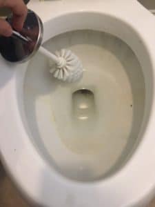 scrub dirty toilet bowl