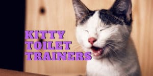 best toilet trainer for cats - cat toilet seat reivews