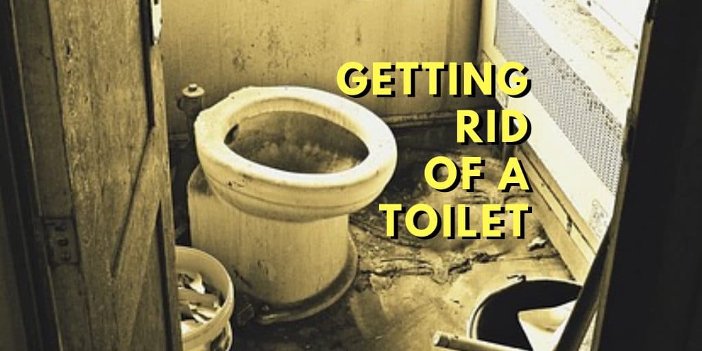 Toilet Travels A Blog About The Best Toilets, Products, and DIY