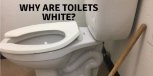 why are toilets always white