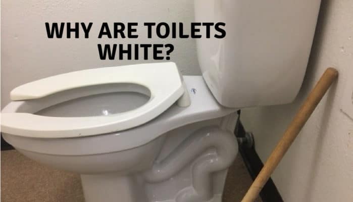Why Are Toilets Always White | Toilet Travels | Toilet Travels