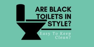 Are black toilets in style - easy to keep clean