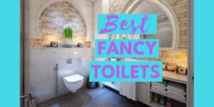 Best fancy toilet