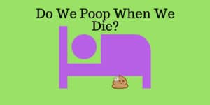 Do people poop when they die