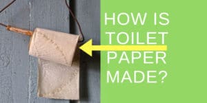 How is toilet paper made