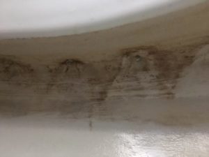 slow flushing toilet-1