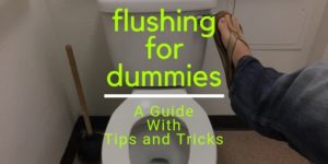 toilet flushing for dummies - tips and tricks